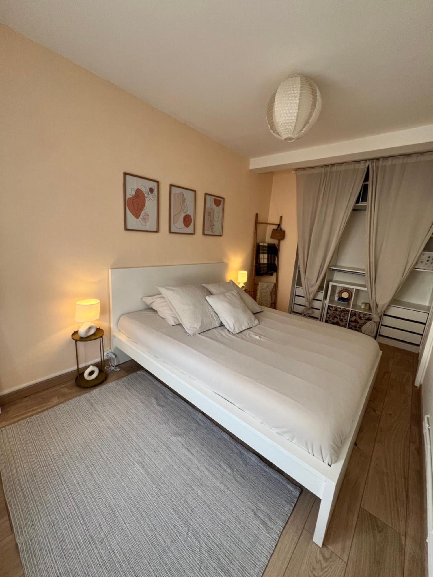 Le Bellevue - T3 - Gare & Les Jardins Darcy - Parking Free Apartment Dijon Bagian luar foto